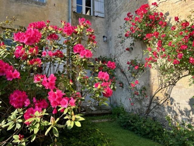 Le Clos De La Cathedrale Bazas Exterior photo